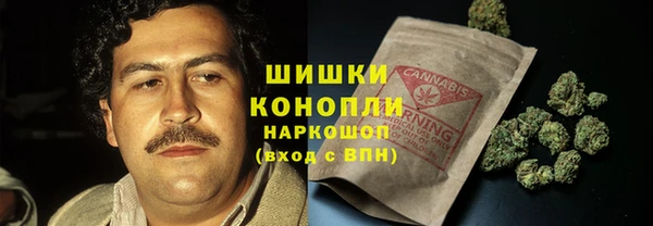 индика Аркадак