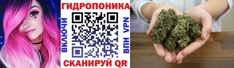 Канабис OG Kush  Купить закладки  Ворсма 